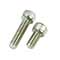 Stainless Steel M5 Bolts
