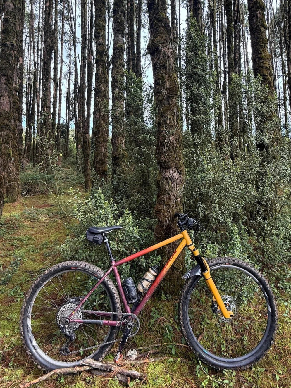 SCARAB DARIEN MOUNTAIN BIKE