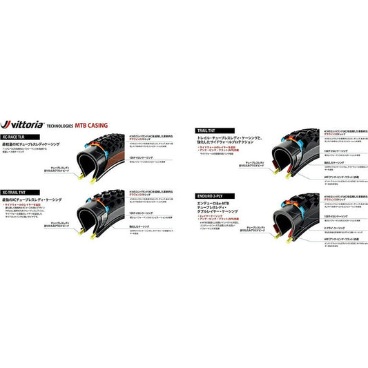 Barzo G2.0 - XC-Trail/TNT G2.0 - anth/blk/blk 29x2.25