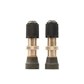 Tubeless Valves