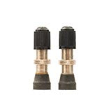 Tubeless Valves