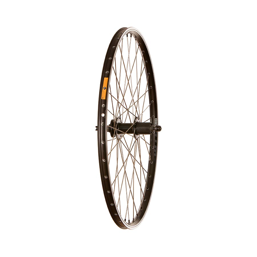 WTB DX18 QR Rim and Disc 26"