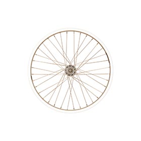 Evo Tour 20 Bolt-On Rim 20"