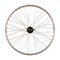 Evo Tour 20 QR Rim and Disc 24"