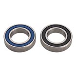 Cognition Disc Beargins