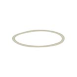 M-Pulse Pawl Retainer
