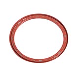 HYDRA/TORCH Freehub Seal
