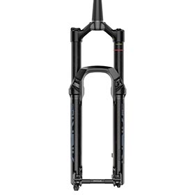 Lyrik Select RC D1