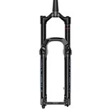Lyrik Select RC D1