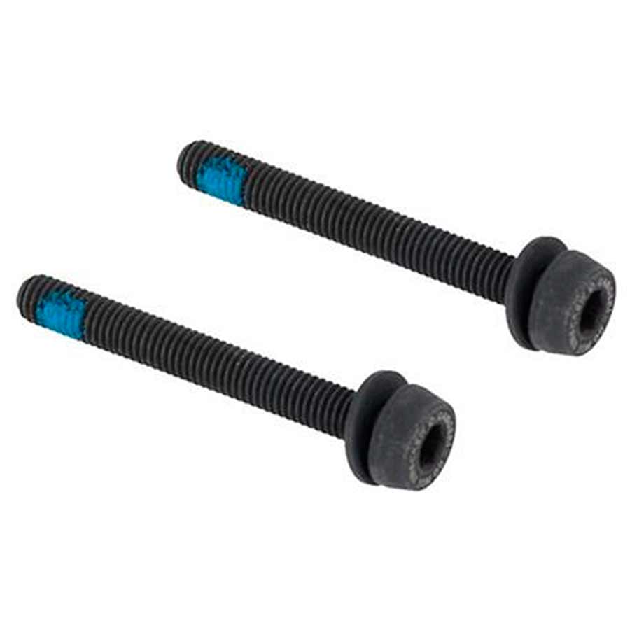 Rear Caliper Mounting Screws