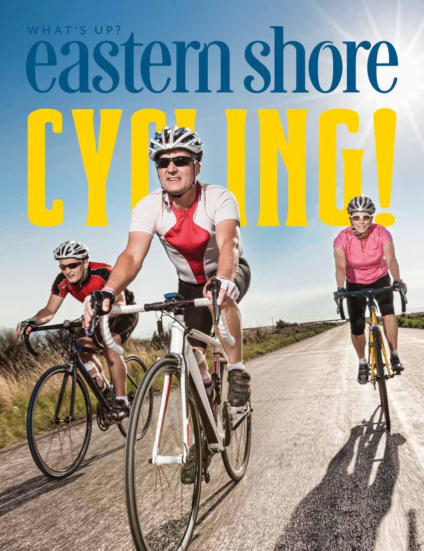 SAFETTI BIB GRIGIO Woman Toscana  Small Ref 21356G