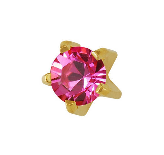 SAFETTI Forest Jersey UC CMC Woman SM