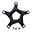 Force 22/CX1 Spider