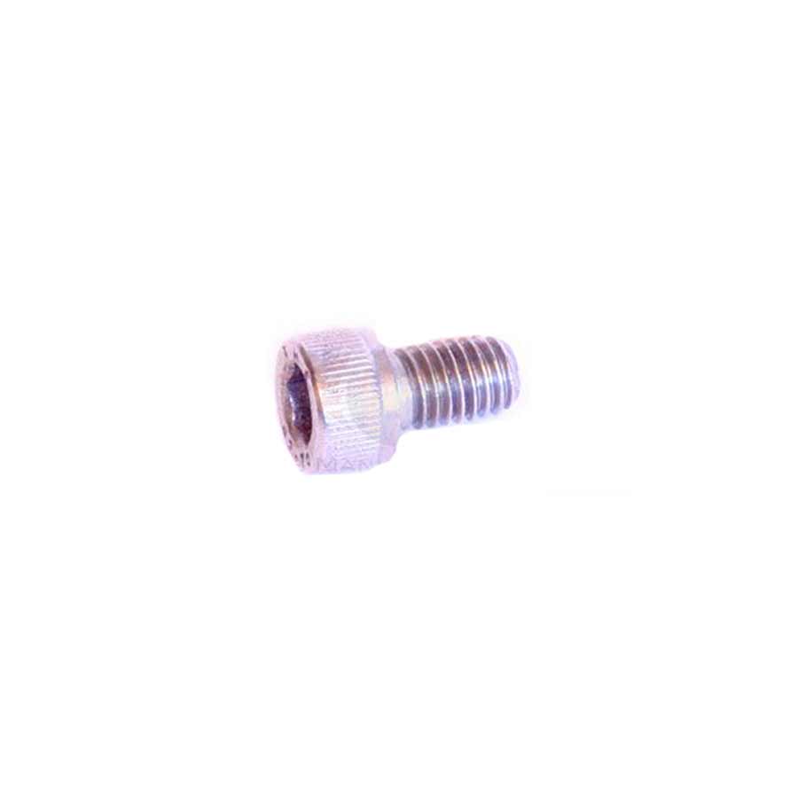 Stainless Steel M6 Socket Head Cap Screw