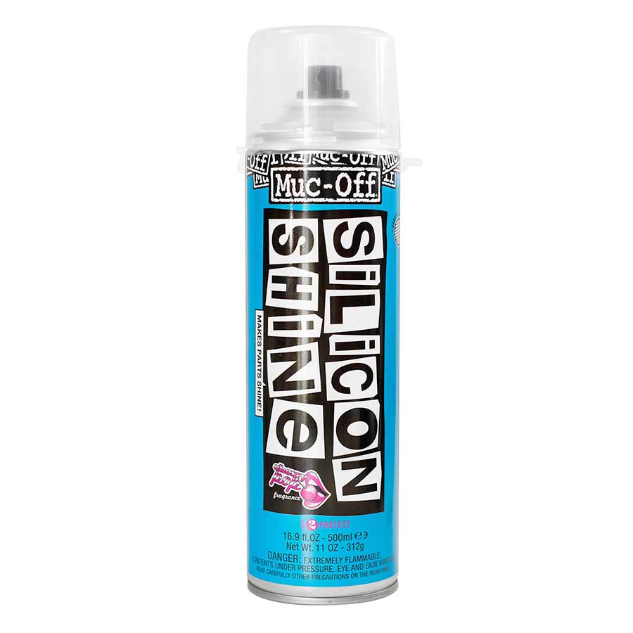 Silicon Shine