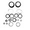 Lyrik Service Kit