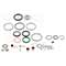 Monarch B1, C1, D1 Full Service Kit - 11.4118.038.000