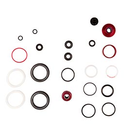 Lyrik FA D1 200 Hour Kit