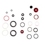 Lyrik FA D1 200 Hour Kit
