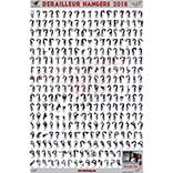 Derailleur Hanger Wall Chart