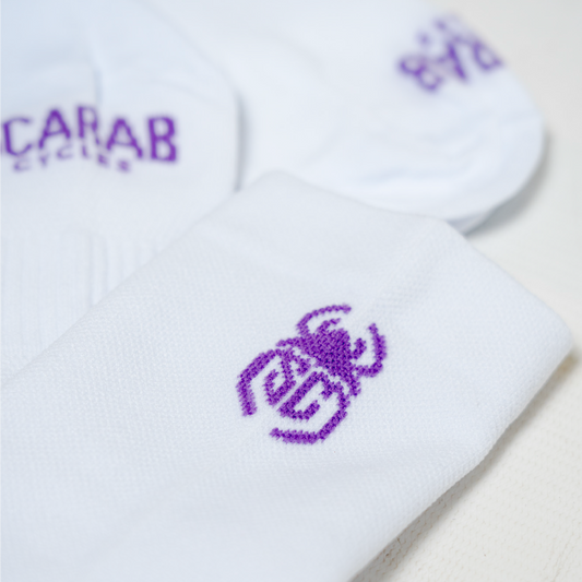 SCARAB SOCKS