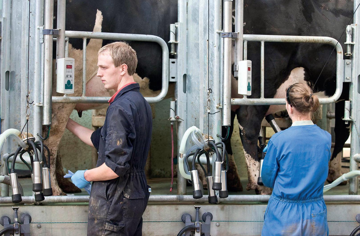 SAFETTI BIB GIRONA Carbon  Man Large Ref 21617E