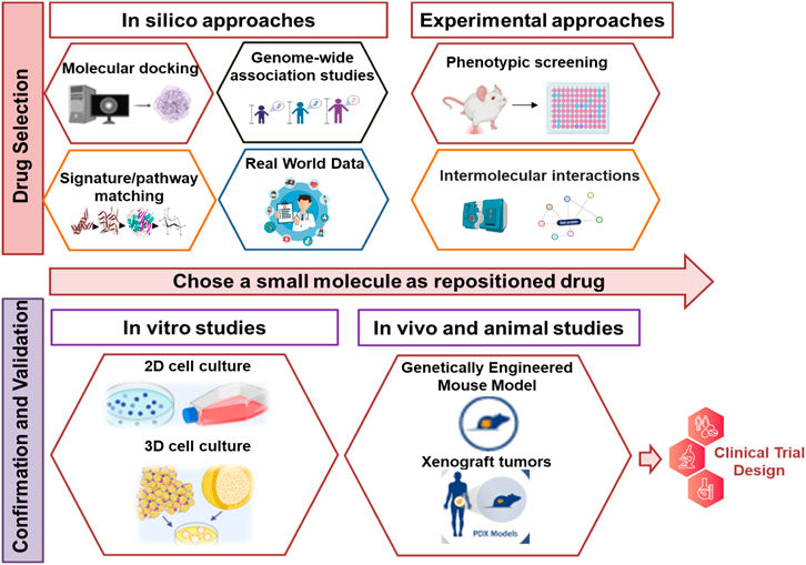 SAFETTI BIB EVANS Cargo  Women Small  Ref 21349E