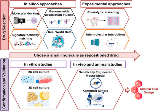 SAFETTI BIB EVANS Cargo  Women Small  Ref 21349E