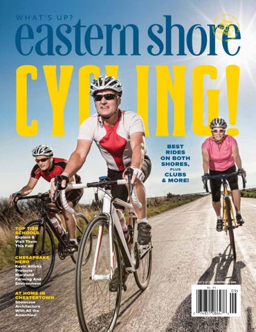 SAFETTI BIB GRIGIO Toscana  Medium Ref 21356G